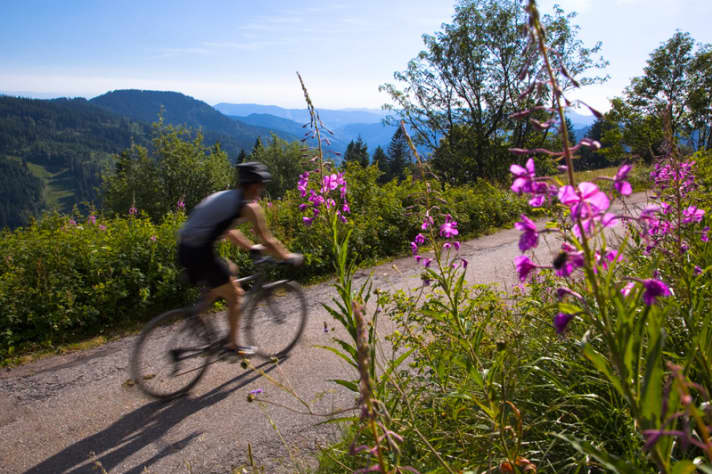   Lichtblicke: Im südlichen Schwarzwald, wie hier unterhalb des Feldbergs, wird das Gelände bergiger, die Landschaft offener 