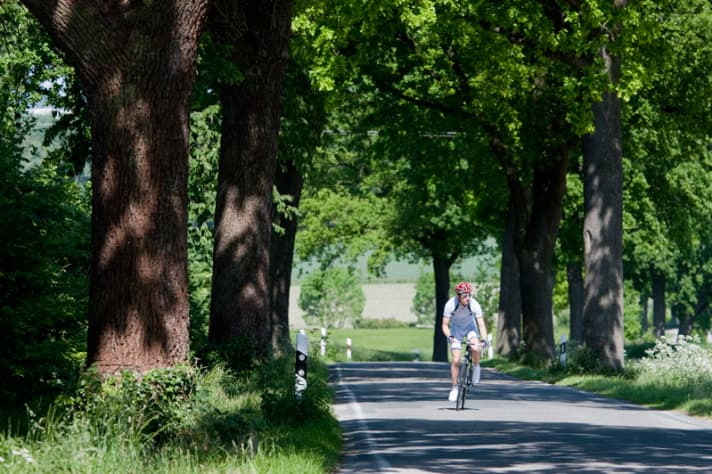   Typisch Münsterland: Einsame Alleestraßen, auf denen sich Radler auch mal etwas breitmachen dürfen 