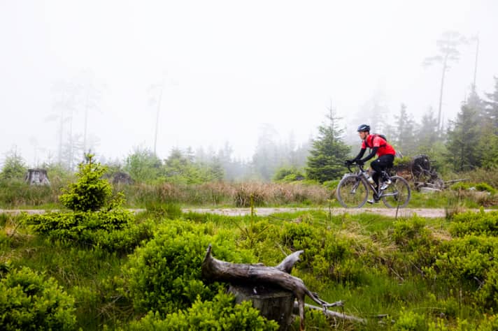   Zweimal Sommerwetter: Nebel verhängt das Hochmoor bei Kaltenbronn im Nordschwarzwald... 
