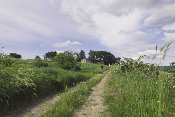 A travers la campagne : les chemins de campagne qui mènent à des fermes isolées sont idéaux pour les randonnées sur route.