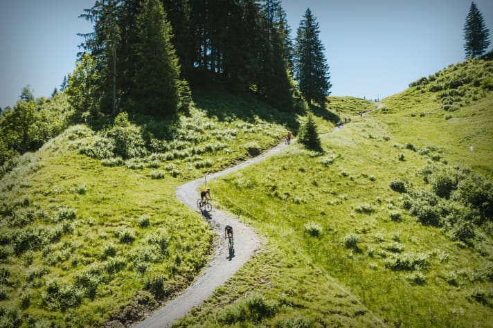 Impression into the wold bergab auf Gravelweg