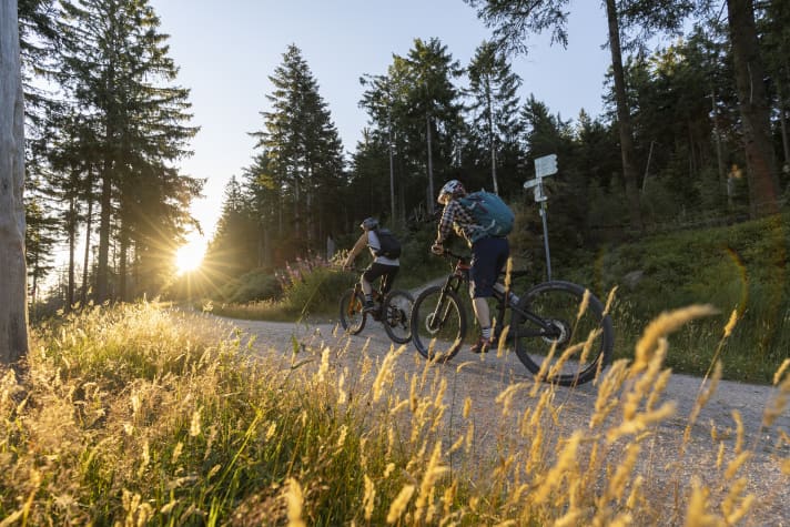 Die Anstiege im Nordschwarzwald geben sich gern steil. Auf längerer Tour freut man sich daher über jedes Watt, das man nicht selbst aufbringen muss.
