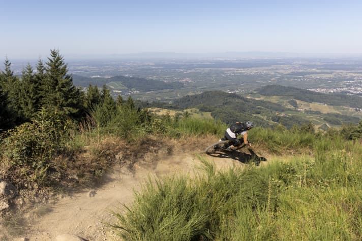 Der Alpirsbacher Schwarzwald-Trail nimmt mit diesem Panorama-Abschnitt noch mal richtig Fahrt auf. Einige Schlüsselstellen zeigen sich engkurvig, steinig und wurzeldurchsetzt.