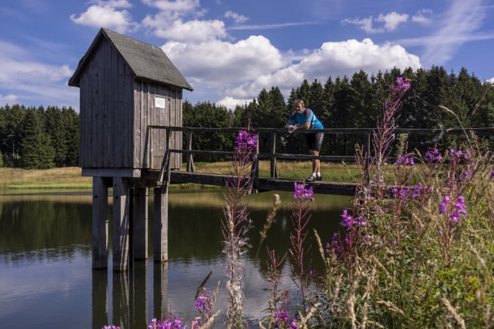 Idyllic: the water runner pond near Clausthal-Zellerfeld. The mining pond was created to supply water to the surrounding ore mines.