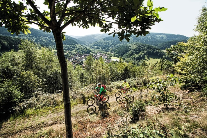 Fünf flowige Kilometer lang: Der Trail vom Bielstein nach Lautenthal hinunter.