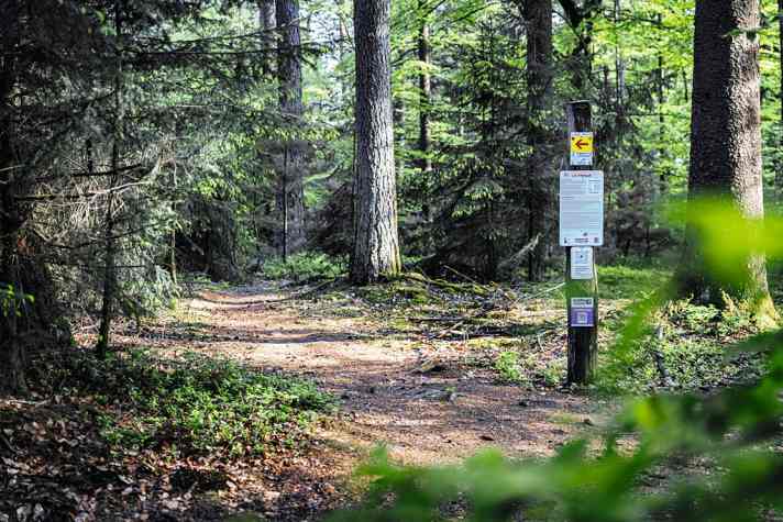 Ausgeschildert und offiziell: Die LA Trails nahe Aschaffenburg.