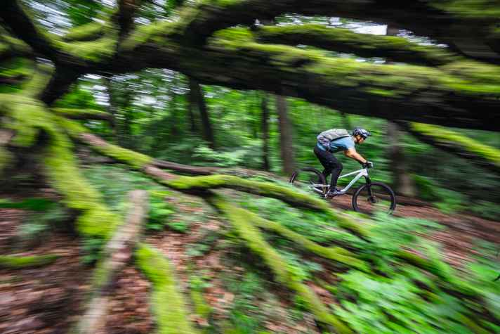 Auch fahrtechnisch nicht so versierte Biker haben Spaß auf diesen Trails.