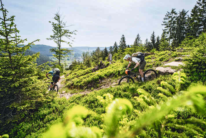 Schaeffler MTB Arena: one of the longest trails in Germany knitted from the existing trail sections.