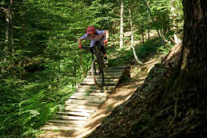 Im Waldhang über dem Bikepark vernetzt sich ein ungeahntes Trail-Geflecht, das nicht mal Trailforks kennt.