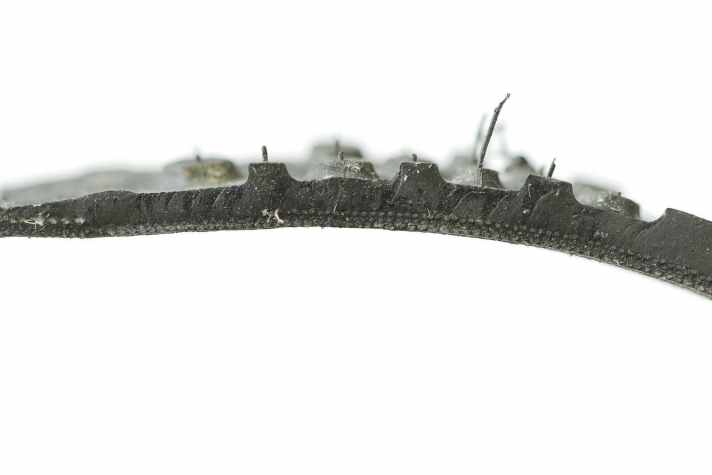 Terra Speed im Schnitt: Drei feine Karkassenlagen unter der Lauffläche sichern ordentlichen Pannenschutz. Im Terra Adventure befindet sich eine weitere Schutzlage zur Erhöhung der Schnittfestigkeit.