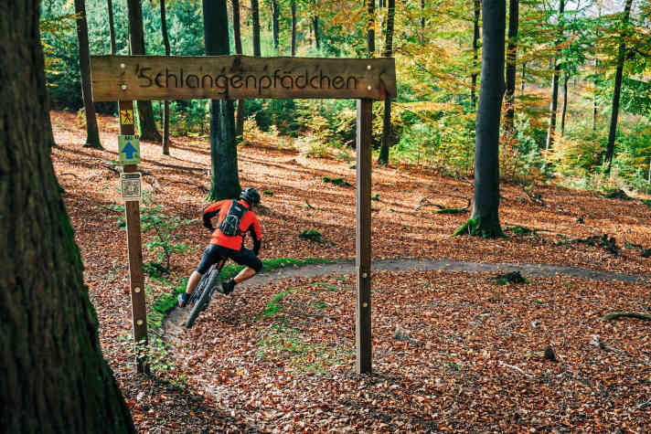 Alleine im Wald. Das gibt’s im Sommer selten.