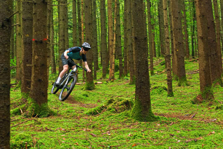 Die Trails am Weltenburger Berg wurden mit Schaufeln modifiziert, die übrigen Trails von Kelheim sind weitgehend naturbelassen. Und ausgeschildert!
