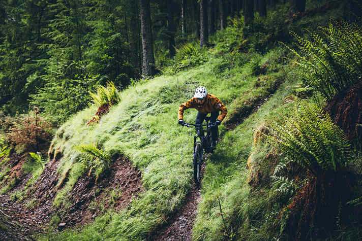 Ach, es regnet ja - das hat man beim Tree Surfen im Wald gar nicht gemerkt.