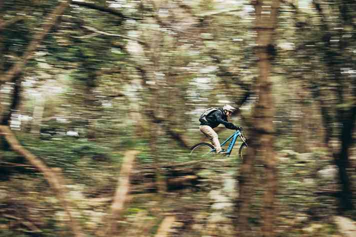 Freie Fahrt durch Pinien- und Oliven-Haine. Es gibt aber auch Trails, die auf der Karte top aussehen, sich dann in der Realität als reine “Bösartigkeit” herausstellen.