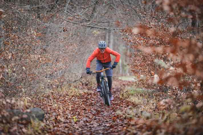Lunge und Kopf lüften: Das geht kaum besser als bei einer Tour im Wald.