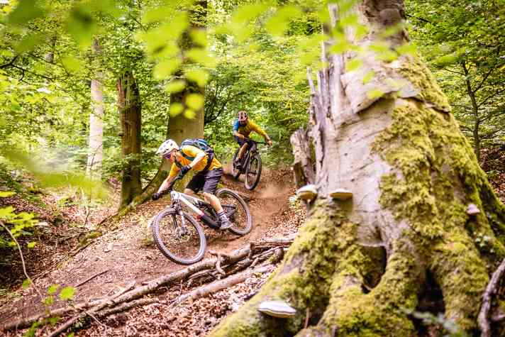 Nach der Idee schottischer und tschechischer Trailcenter, sammeln die Kelheimer Tourenrunden die Trails unterwegs auf. Oder man konzentriert sich auf die beiden Abfahrten am Weltenburger Berg.