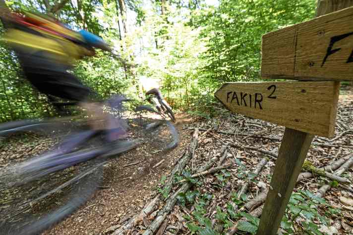 Fakir 1: dark story. Fakir 2: A great moment! Landowner allows the trail to be built on a previously completely pathless forest slope.