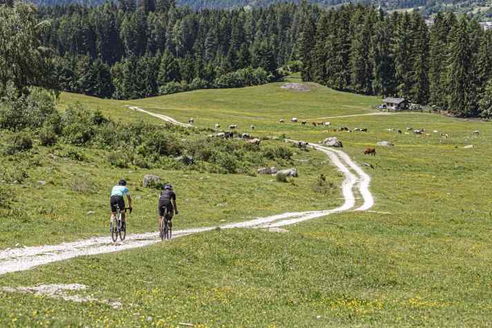 Pure idyll on the Alpe Lusia: In Val di Fiemme, they want to focus entirely on gravel routes in the future.