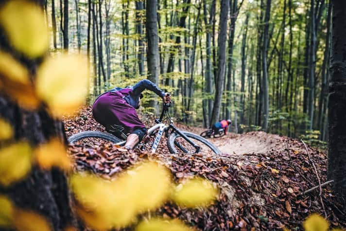 You can look forward to the 1st of March. Until then, the trails are in maintenance.