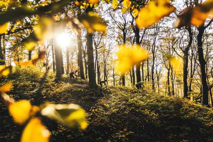Das Trailcenter Hohe Wand Wiese vor den Toren Wiens ist nur ein Highlight der ganzen Region.