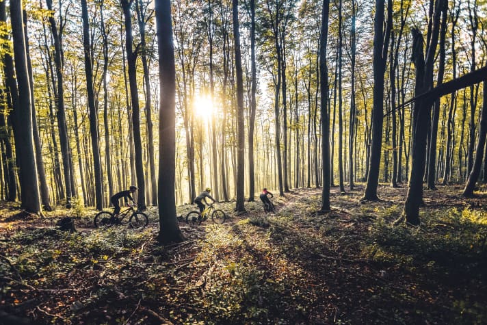 Der Herbst bleibt länger, der Frühling kommt früher im Wienerwald.