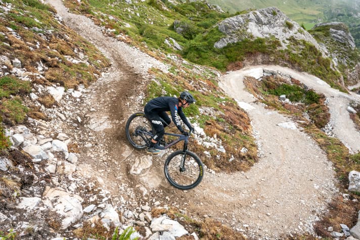 From the upper, rocky part of the Segnes Trail, you head into the flowier section further down.