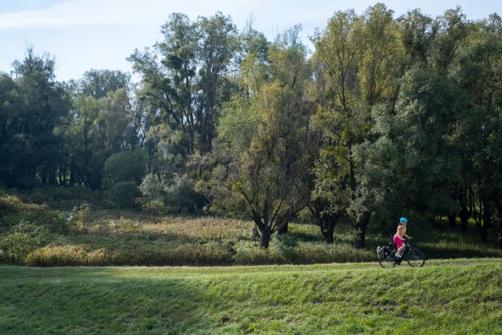 Pure nature in the national park in Hungary, approx. 15 km south-west of Mohacs