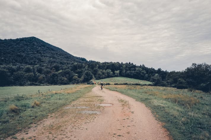 Some even want to go to France. However, most of them opted for the 100-kilometre tour "To the Devil's Table" on Saturday.