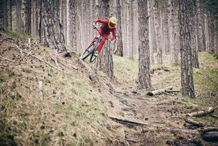 Reposition and swing the tail.