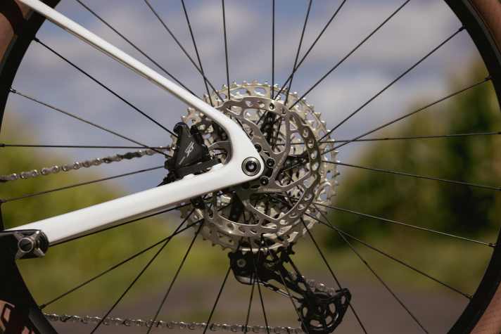 The flatmount brakes sit between the seat and chainstays.