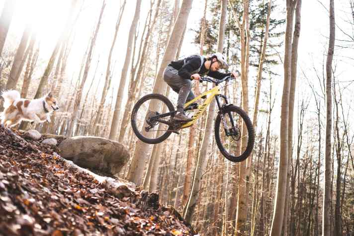 Boot camp instead of a wellness holiday: brute riding style like a sledgehammer, enduro racer, bike guide and riding technique coach - under Lukas' wing, the Spectral CF 9 had to take a beating for a year. On his rear wheel: trail dog Pino.