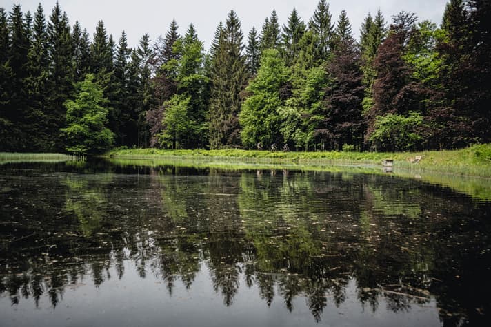 You wouldn't believe how cold such a small pond can be, even in summer.