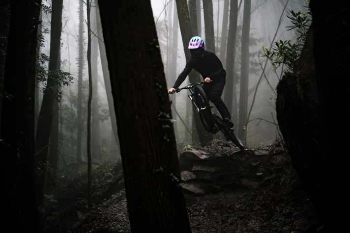 Hyper, hyper, hyper violet in the foggy forest of Portugal