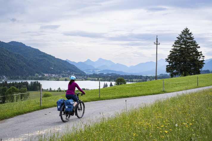 Eingebettet in saftige Wiesen und grüne Hügel liegt der Walchsee.