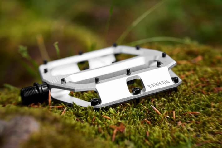 The 20 pins are replaceable - there will also be a service kit from Canyon for the bearings, including the necessary tools