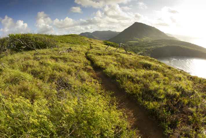 Good prospects: Shimano's Trail Born Fund aims to support projects worldwide