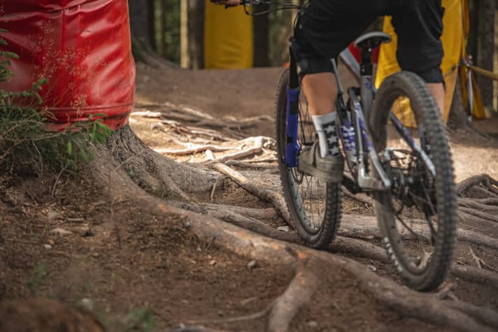 Longitudinal roots are critical in wet conditions. However, they can also give you the necessary lateral support when cornering.