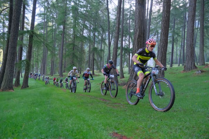Beim Ortler Bike Marathon im Lärchenwald bei St. Valentin auf der Haide.