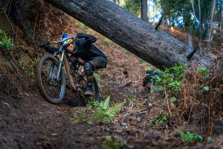 Kriss Kyle in his video on Madeira, here ducking under a tree.