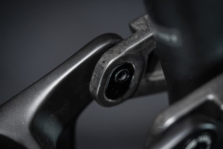 The newly integrated flip chip on the rear triangle. There are two variants: a combined high/low chip and an extra chip for the mid-position.