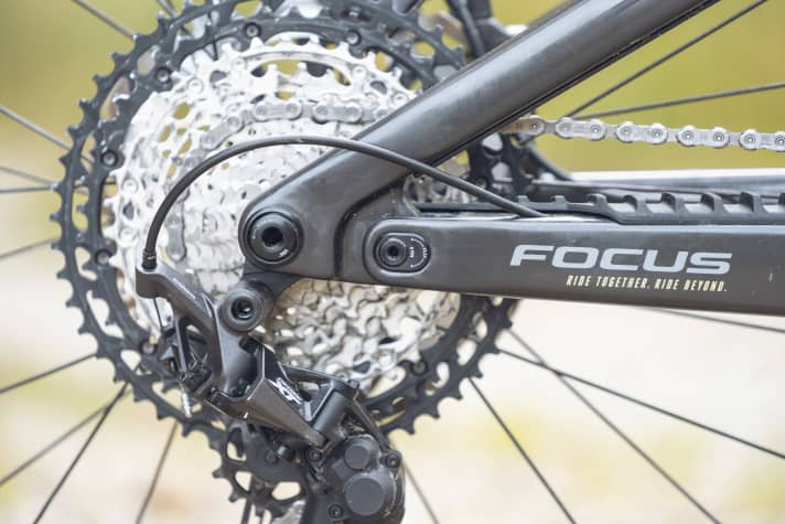 There is a flipchip in front of the dropout for adjusting the chainstay length. However, this should only be used in conjunction with the second flip chip.