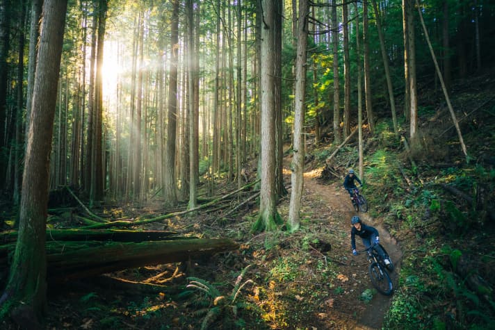Trail fun with the Transition Smuggler