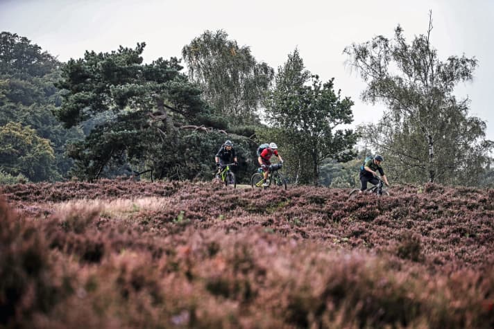  On sand and meadow paths through the heath