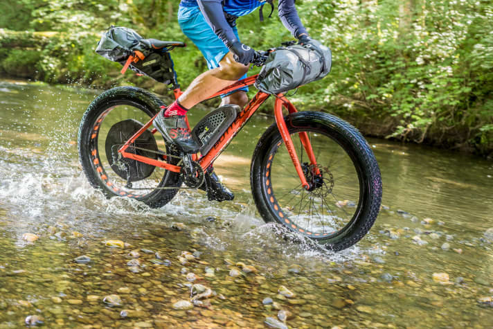 Mit dem BionX D-Series brachte das kanadische Unternehmen den ersten voll EMTB-tauglichen Hinterrad-Nabenmotor auf den Markt