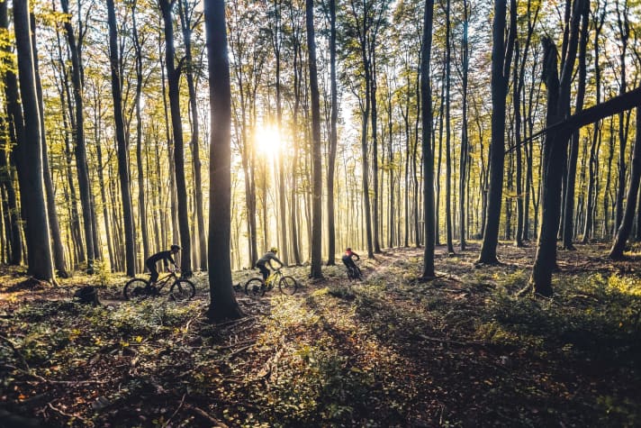 BIKE presents: Four companies from the bike industry and their approaches to saving what is probably the only planet with singletrack trails.