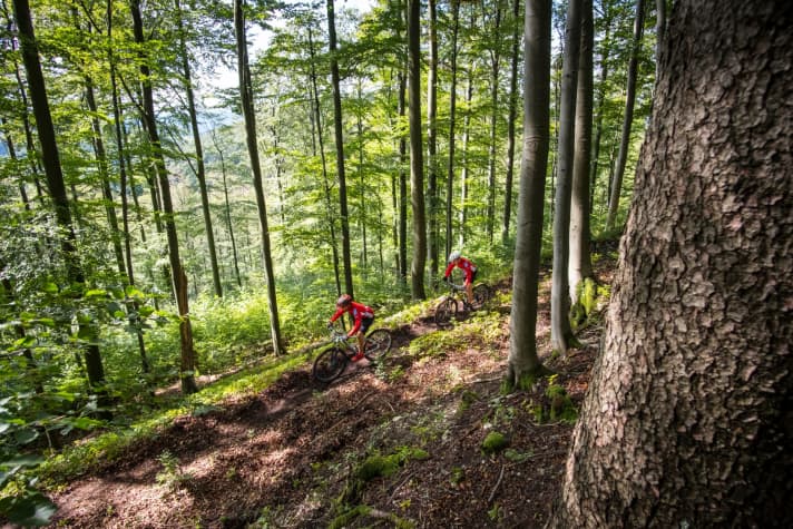   The Schwarze Berge MTB team on its self-built trail through the forests of the Rhön.