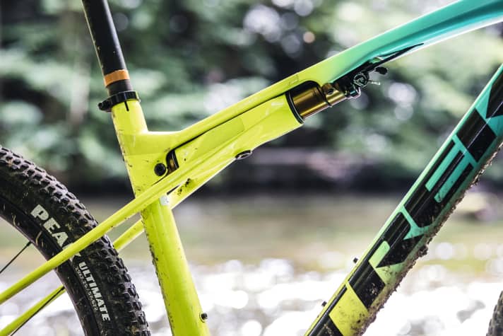   Trek Supercaliber 9.9 XX1: Das Schmieröl im Spezialdämpfer war nach einem Jahr noch wie neu. Allerdings bildete sich leichte, noch unkritische Korrosion an der Dämpferaufnahme.