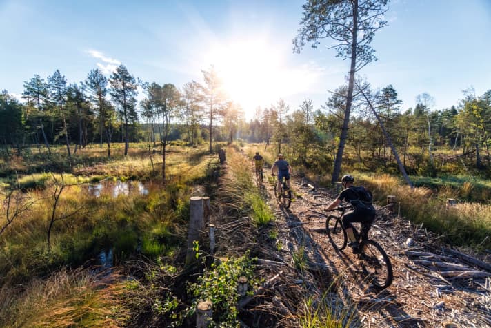   180 kilometres on a mountain bike in March: for long-distance bikers, it could be the first challenge of the still young season.