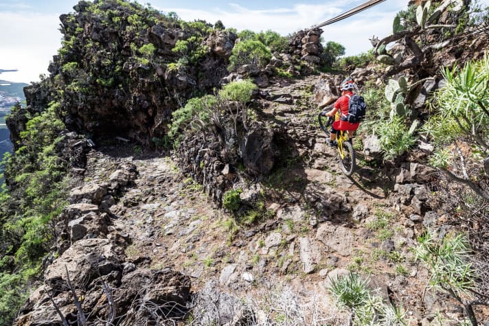   Random curve - image 4