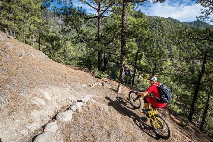   Controlled curve - image 1